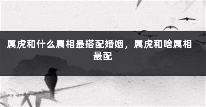 属虎和什么属相最搭配婚姻，属虎和啥属相最配