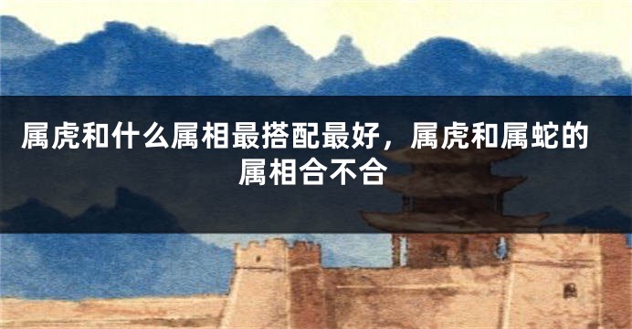 属虎和什么属相最搭配最好，属虎和属蛇的属相合不合