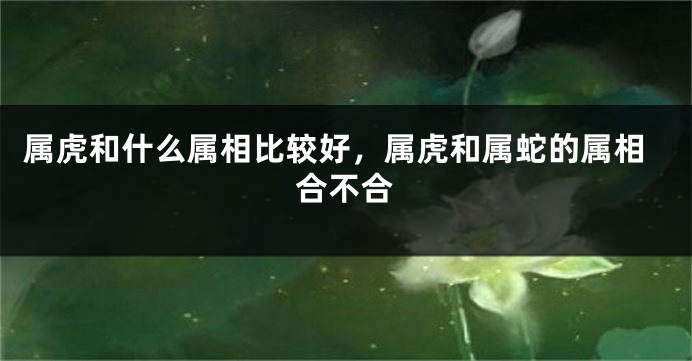 属虎和什么属相比较好，属虎和属蛇的属相合不合