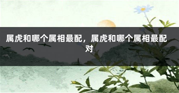 属虎和哪个属相最配，属虎和哪个属相最配对