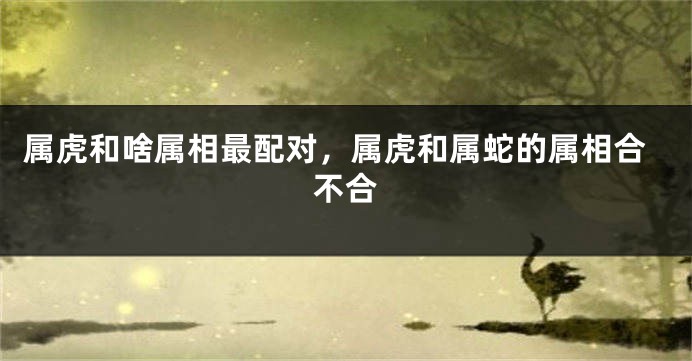 属虎和啥属相最配对，属虎和属蛇的属相合不合