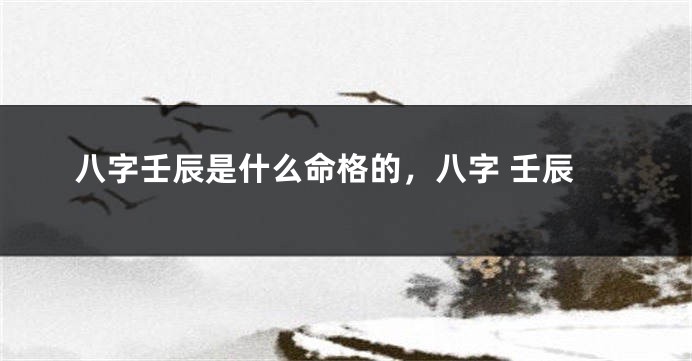 八字壬辰是什么命格的，八字 壬辰