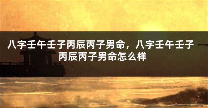 八字壬午壬子丙辰丙子男命，八字壬午壬子丙辰丙子男命怎么样