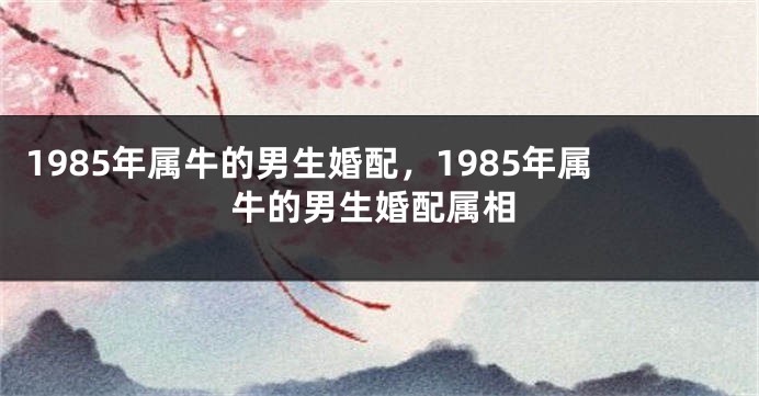 1985年属牛的男生婚配，1985年属牛的男生婚配属相
