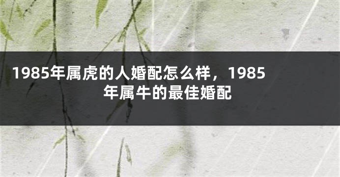 1985年属虎的人婚配怎么样，1985年属牛的最佳婚配