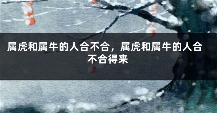 属虎和属牛的人合不合，属虎和属牛的人合不合得来