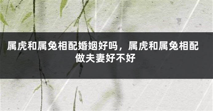 属虎和属兔相配婚姻好吗，属虎和属兔相配做夫妻好不好
