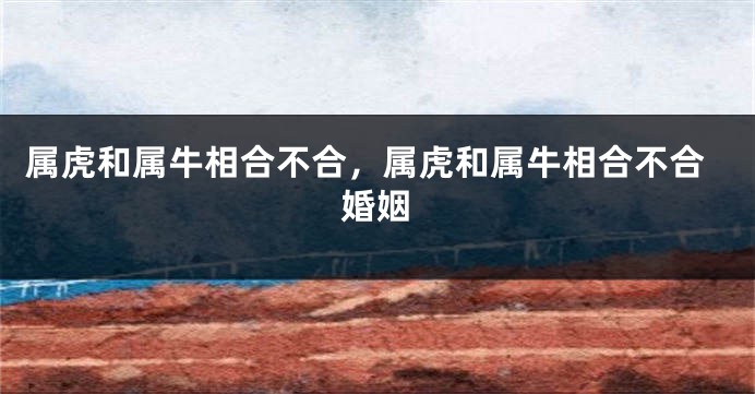 属虎和属牛相合不合，属虎和属牛相合不合婚姻