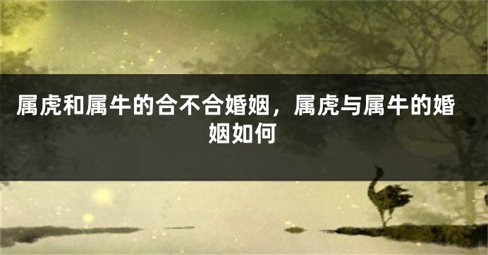 属虎和属牛的合不合婚姻，属虎与属牛的婚姻如何