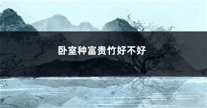 卧室种富贵竹好不好