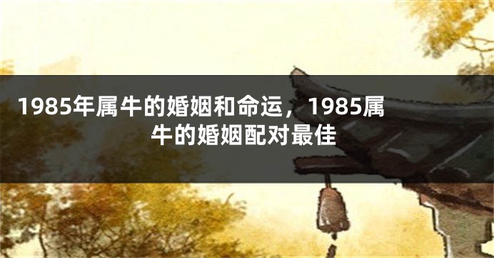 1985年属牛的婚姻和命运，1985属牛的婚姻配对最佳