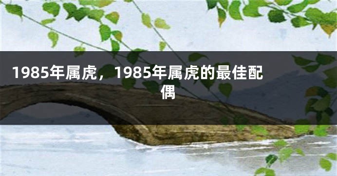 1985年属虎，1985年属虎的最佳配偶