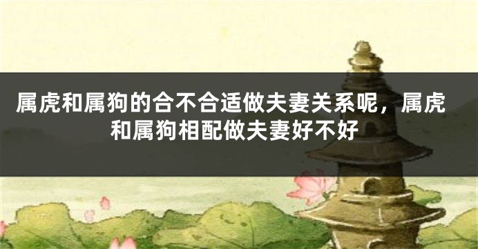 属虎和属狗的合不合适做夫妻关系呢，属虎和属狗相配做夫妻好不好