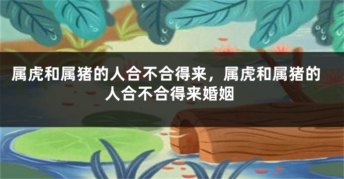 属虎和属猪的人合不合得来，属虎和属猪的人合不合得来婚姻