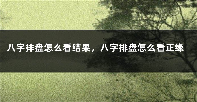 八字排盘怎么看结果，八字排盘怎么看正缘