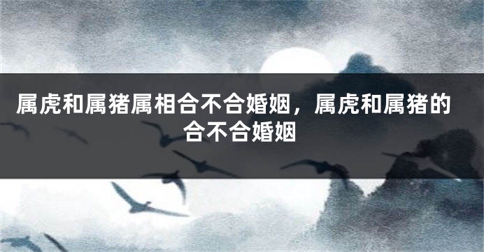 属虎和属猪属相合不合婚姻，属虎和属猪的合不合婚姻
