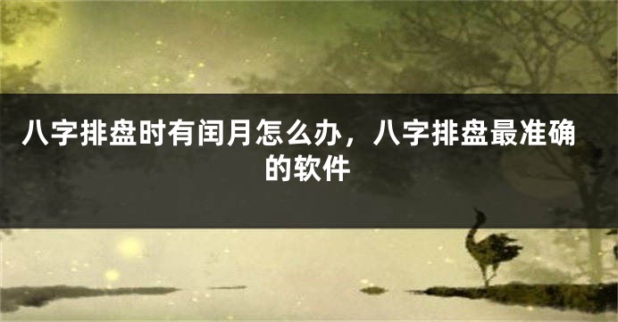 八字排盘时有闰月怎么办，八字排盘最准确的软件