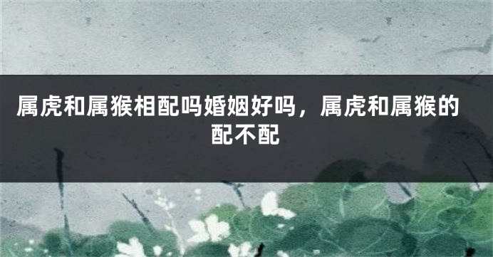 属虎和属猴相配吗婚姻好吗，属虎和属猴的配不配