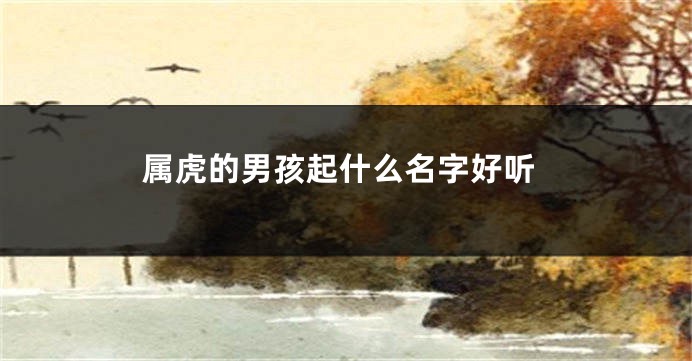 属虎的男孩起什么名字好听