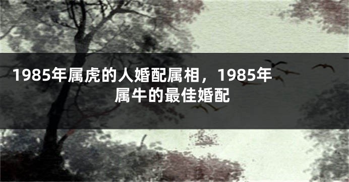 1985年属虎的人婚配属相，1985年属牛的最佳婚配