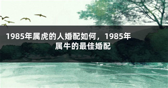 1985年属虎的人婚配如何，1985年属牛的最佳婚配