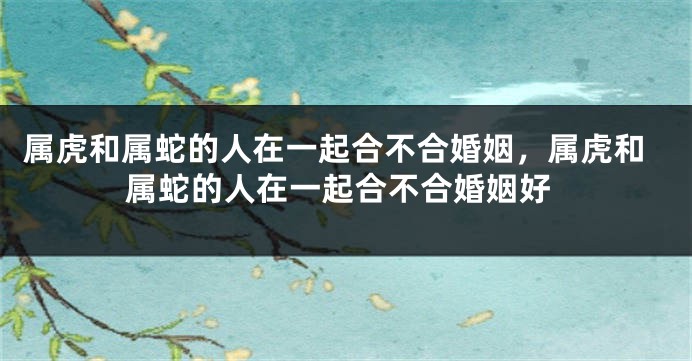 属虎和属蛇的人在一起合不合婚姻，属虎和属蛇的人在一起合不合婚姻好