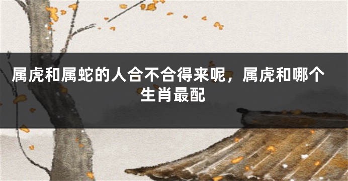 属虎和属蛇的人合不合得来呢，属虎和哪个生肖最配