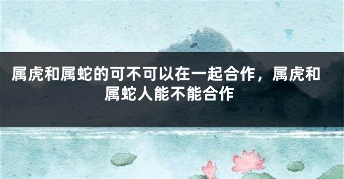 属虎和属蛇的可不可以在一起合作，属虎和属蛇人能不能合作