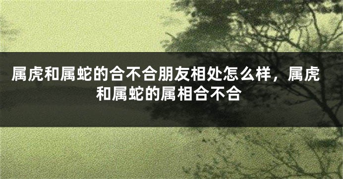 属虎和属蛇的合不合朋友相处怎么样，属虎和属蛇的属相合不合