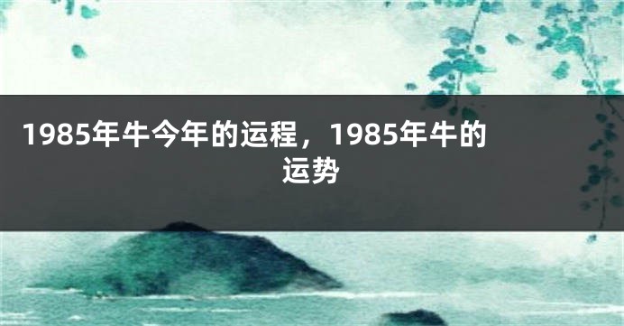 1985年牛今年的运程，1985年牛的运势
