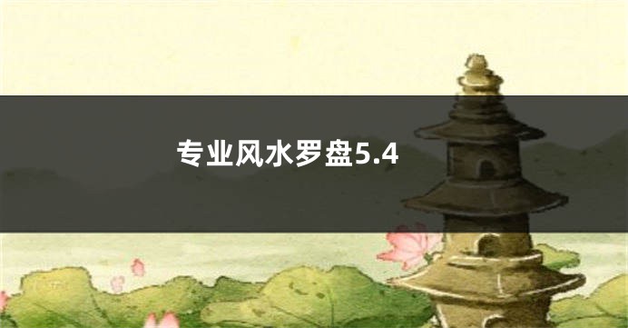专业风水罗盘5.4
