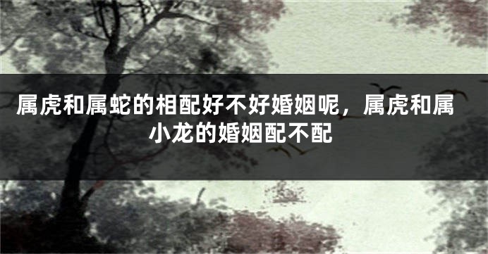 属虎和属蛇的相配好不好婚姻呢，属虎和属小龙的婚姻配不配