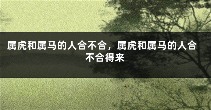 属虎和属马的人合不合，属虎和属马的人合不合得来