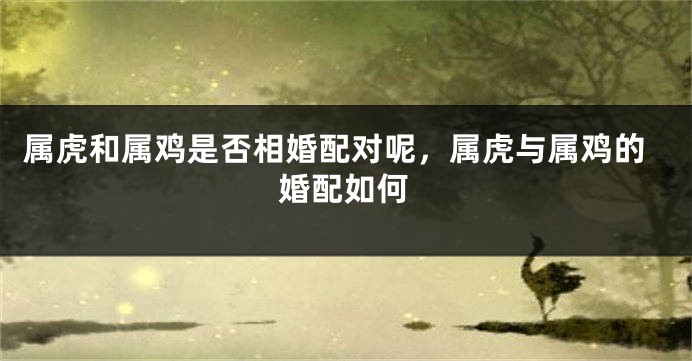 属虎和属鸡是否相婚配对呢，属虎与属鸡的婚配如何