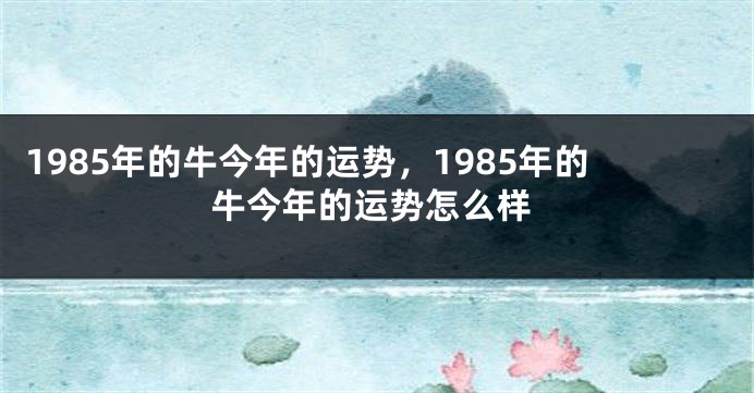 1985年的牛今年的运势，1985年的牛今年的运势怎么样