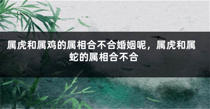 属虎和属鸡的属相合不合婚姻呢，属虎和属蛇的属相合不合