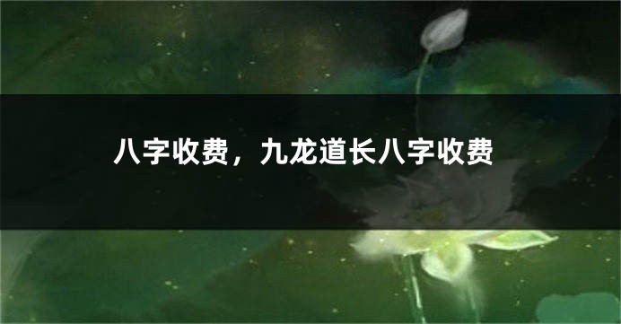 八字收费，九龙道长八字收费