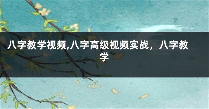 八字教学视频,八字高级视频实战,八字教学