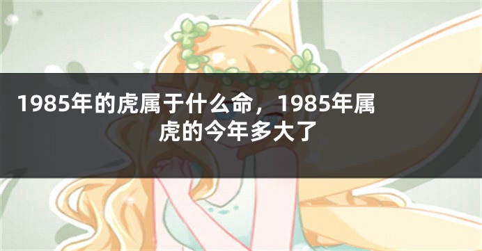 1985年的虎属于什么命，1985年属虎的今年多大了