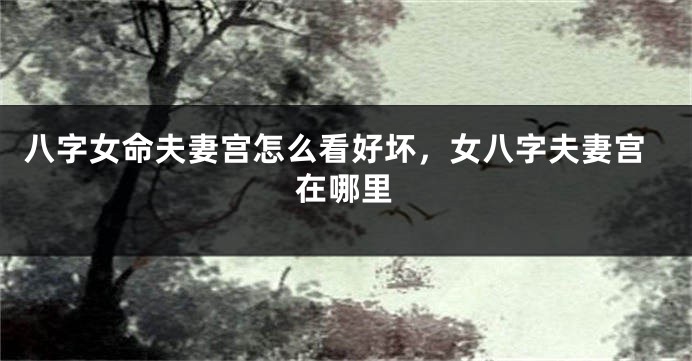 八字女命夫妻宫怎么看好坏，女八字夫妻宫在哪里