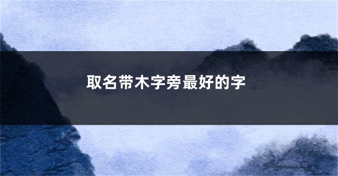 取名带木字旁最好的字