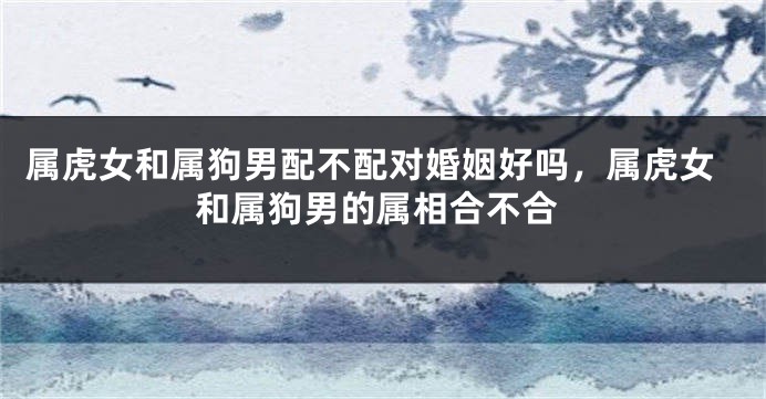 属虎女和属狗男配不配对婚姻好吗，属虎女和属狗男的属相合不合