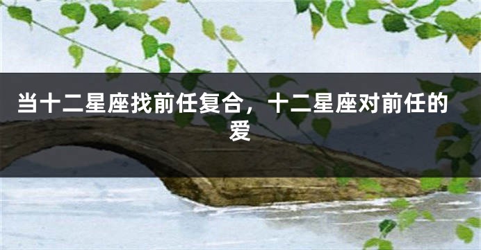 当十二星座找前任复合，十二星座对前任的爱
