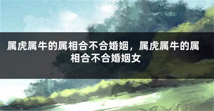 属虎属牛的属相合不合婚姻，属虎属牛的属相合不合婚姻女
