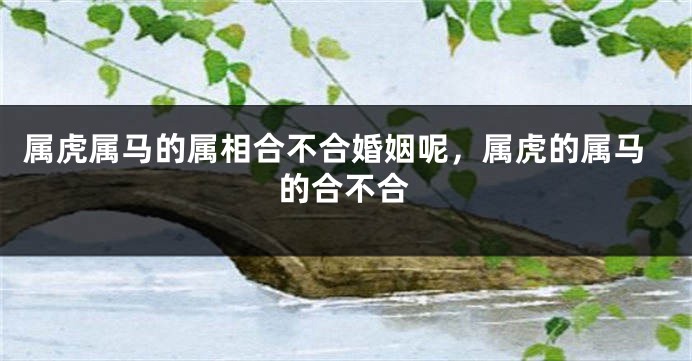 属虎属马的属相合不合婚姻呢，属虎的属马的合不合