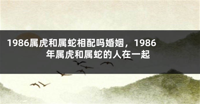 1986属虎和属蛇相配吗婚姻，1986年属虎和属蛇的人在一起