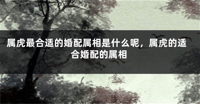 属虎最合适的婚配属相是什么呢，属虎的适合婚配的属相