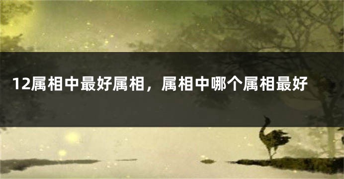12属相中最好属相，属相中哪个属相最好