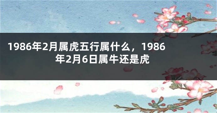 1986年2月属虎五行属什么，1986年2月6日属牛还是虎