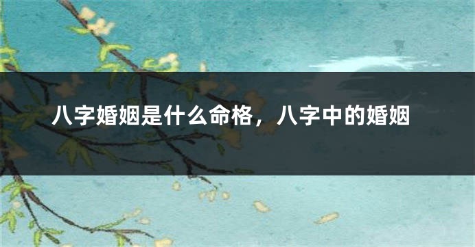 八字婚姻是什么命格，八字中的婚姻